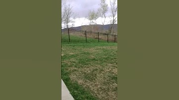 perfect loop???? #funny #perfectloop #comedy #satisfyingloop #memes #minecraftnoobvsprovshackervsgod