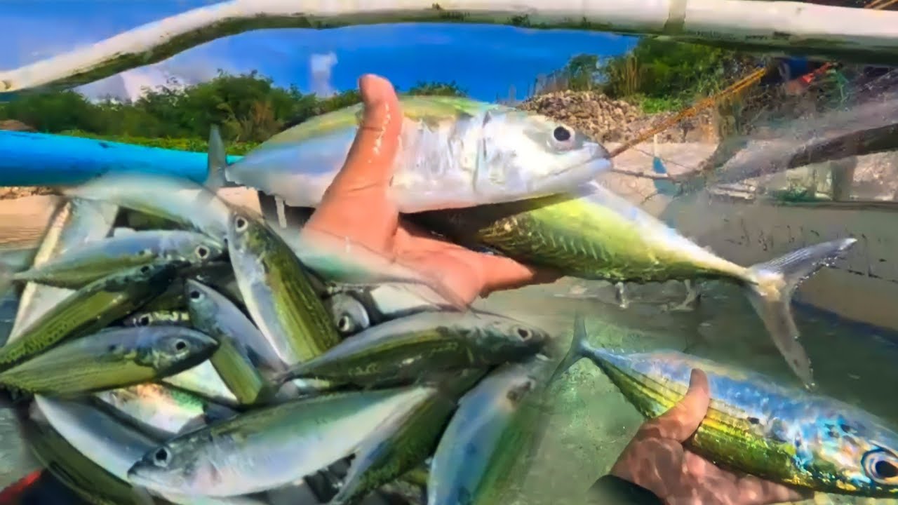 JACKPOT!!! ISANG ARYA LANG! | Sulit ang Paghihintay sa Lutang ng Alumahan