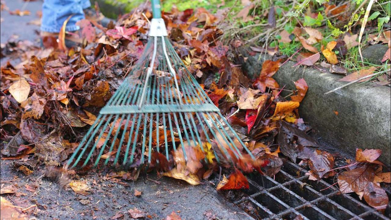 In An Orland Park Minute Leaf Clean Up YouTube