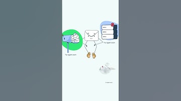 Soft bounce email secrets - Email FunFact by #mailtrap