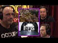 Joe rogan how the rich will survive doomsday