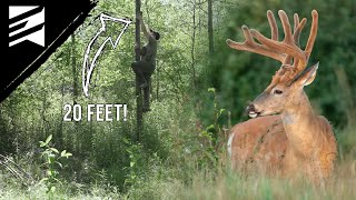 How High Is Too High When Hanging Trail Cameras?