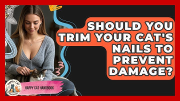 Should You Trim Your Cat