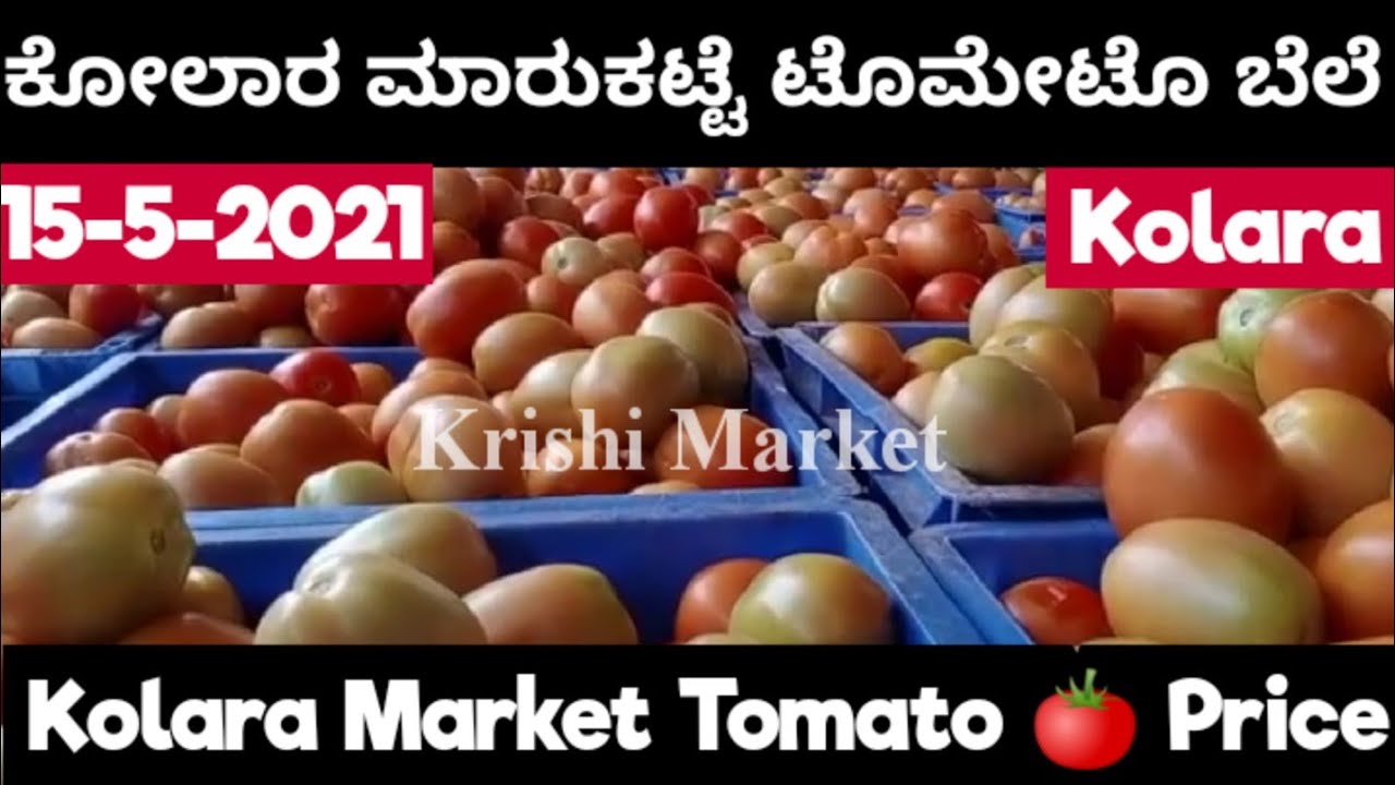 Kolar Market Tomato Price on 1552021 1552021 ರ ಕೋಲಾರ ಮಾರುಕಟ್ಟೆ