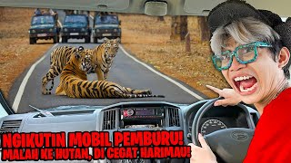 KITA NGIKUTIN MOBIL PEMBURU MALAH NYASAR KE TENGAH HUTAN DISERANG 2 HARIMAU! NGERI SAMPAI MERINDING!