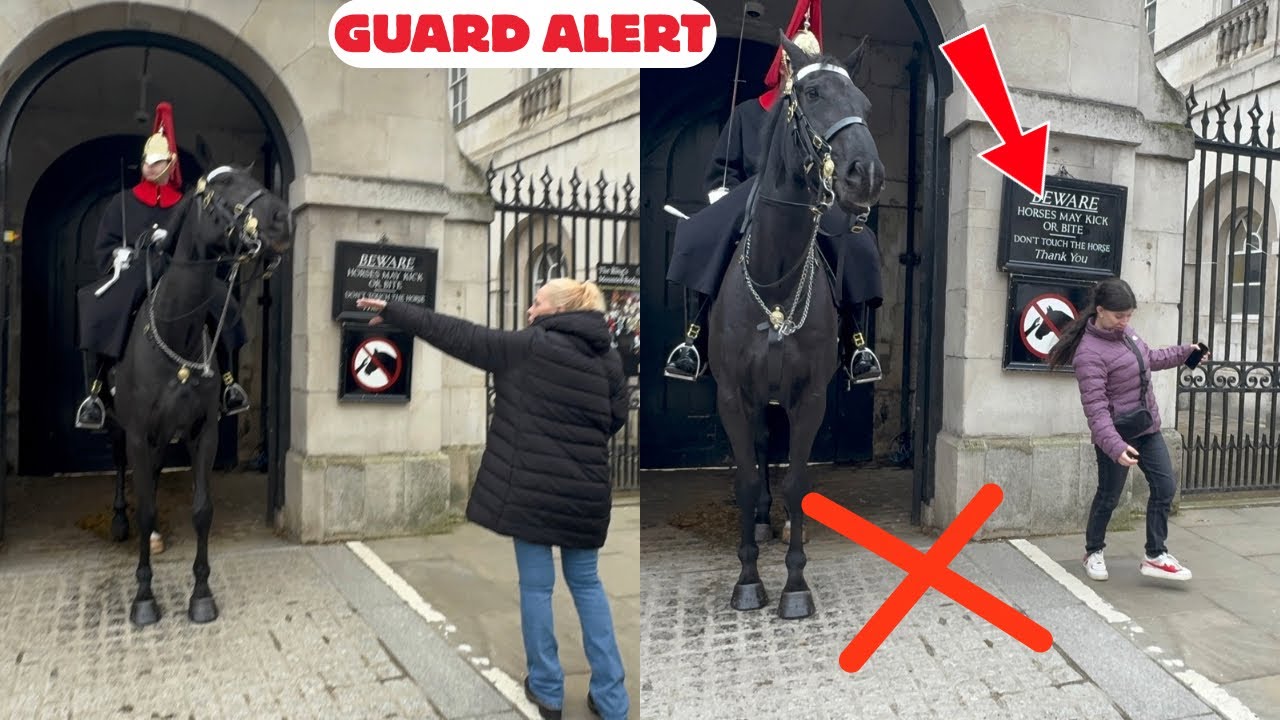 Tense Moments: Tourists Cross the Line, Try to Touch Guard Horse as Protest Fills the Street