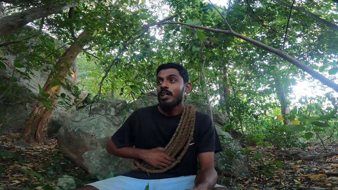 උමගේ ඇත්ත හොයාගෙන ..🍃🐻 @IslandFishing2  jungle Vlog