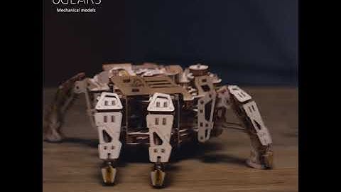 Hexapod Explorer 15 sec   EN 1x1