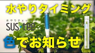 【園芸グッズ】根腐れの心配なし！水やりのタイミングを色で教えてくれるサスティー【おすすめ】