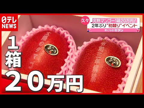 2玉で20万円！生育よく“完熟マンゴー”初競りで高値 宮崎（2021年4月