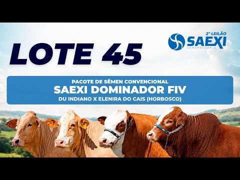 LOTE 45 - PACOTE DE SÊMEN CONVENCIONAL SAEXI DOMINADOR FIV