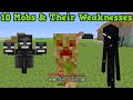Minecraft - 10 Mobs & Their Weaknesses