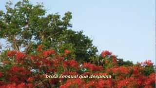 Mi bella borinquen - Edmundo Disdier 2012.mpg
