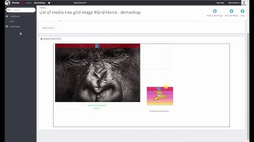 Tutorial Easier Grid Image (Prestashop module)