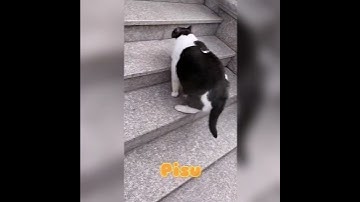 1 2 1 2 Anh Cố Lên!!!😂😭🤣🤪