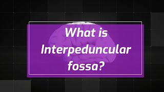 What Is Interpeduncular Fossa?