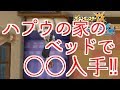 【ポケモンUSUM】ハプウの家のベッドで”あれ”が手に入る！！！【ウルトラサン ウルトラムーン】