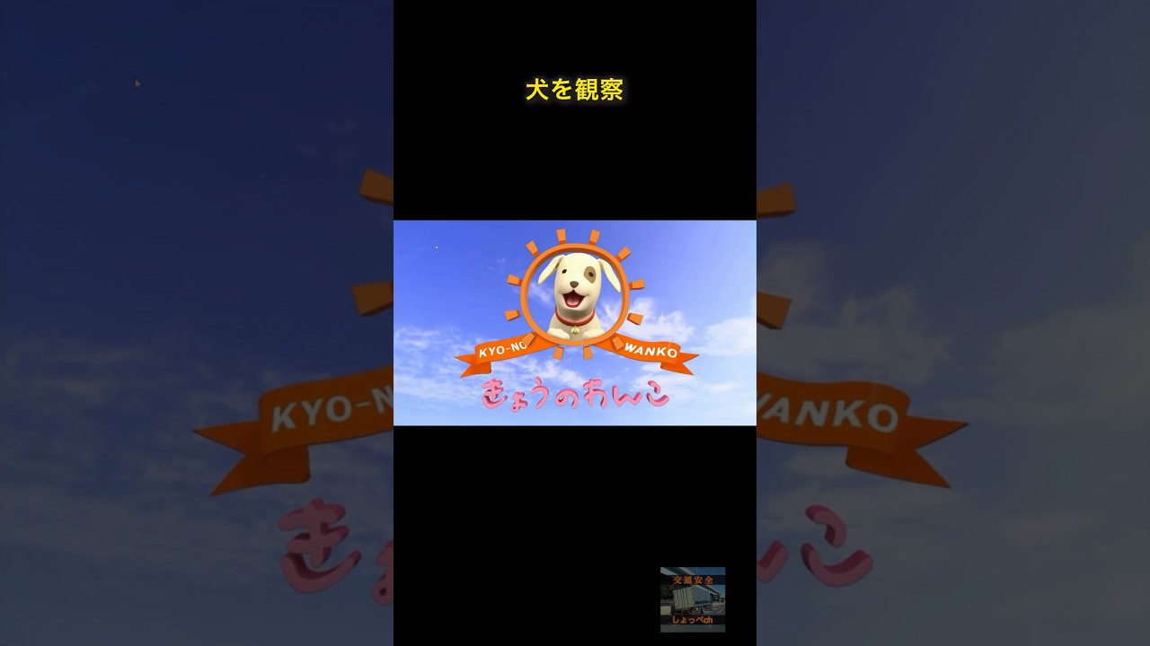 犬を観察