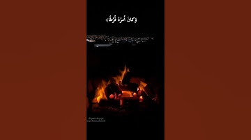 واصبر نفسك مع الذين يدعون ربهم | تلاوة القارئ - رعد الكردي |