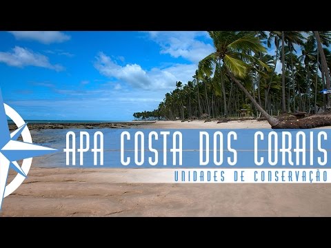 Área de Proteção Ambiental da Costa dos Corais - Parte 1 - Episódio 38