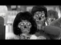 The Untold Truth Of They Live The Untold Truth Of They Live