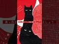 真っ赤なソファの陰で踊りましょう #黒猫同盟 #ムーランルージュの黒猫 #上田ケンジ #小泉今日子 #shorts