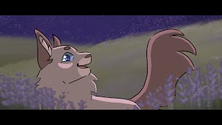 Procreate Dreams Animation Test