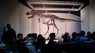 T. rex skeleton sells for $6.1 million at auction in Switzerland