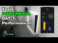 Tesla POWERWALL Day 1 Performance! 100% SELF-POWERED