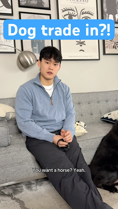 What do you think my question to him was? #justforlaughs #prankvideo #motherson #funny #familyfun