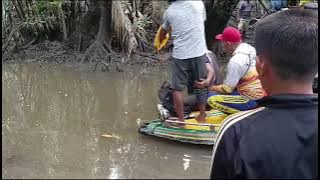 Mengambil korban dari mulut buaya oleh pawang buaya, maaf pengangkatan korban video nya kita cut 🙏