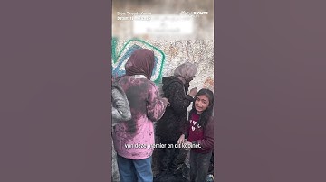 GL-PVDA over Palestina en Israël | Gaza Kieswijzer 2025