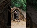 She Found Out He Listened to Samuel Alone… So She Built a Jungle Shelter! 🌿🔥 #shorts