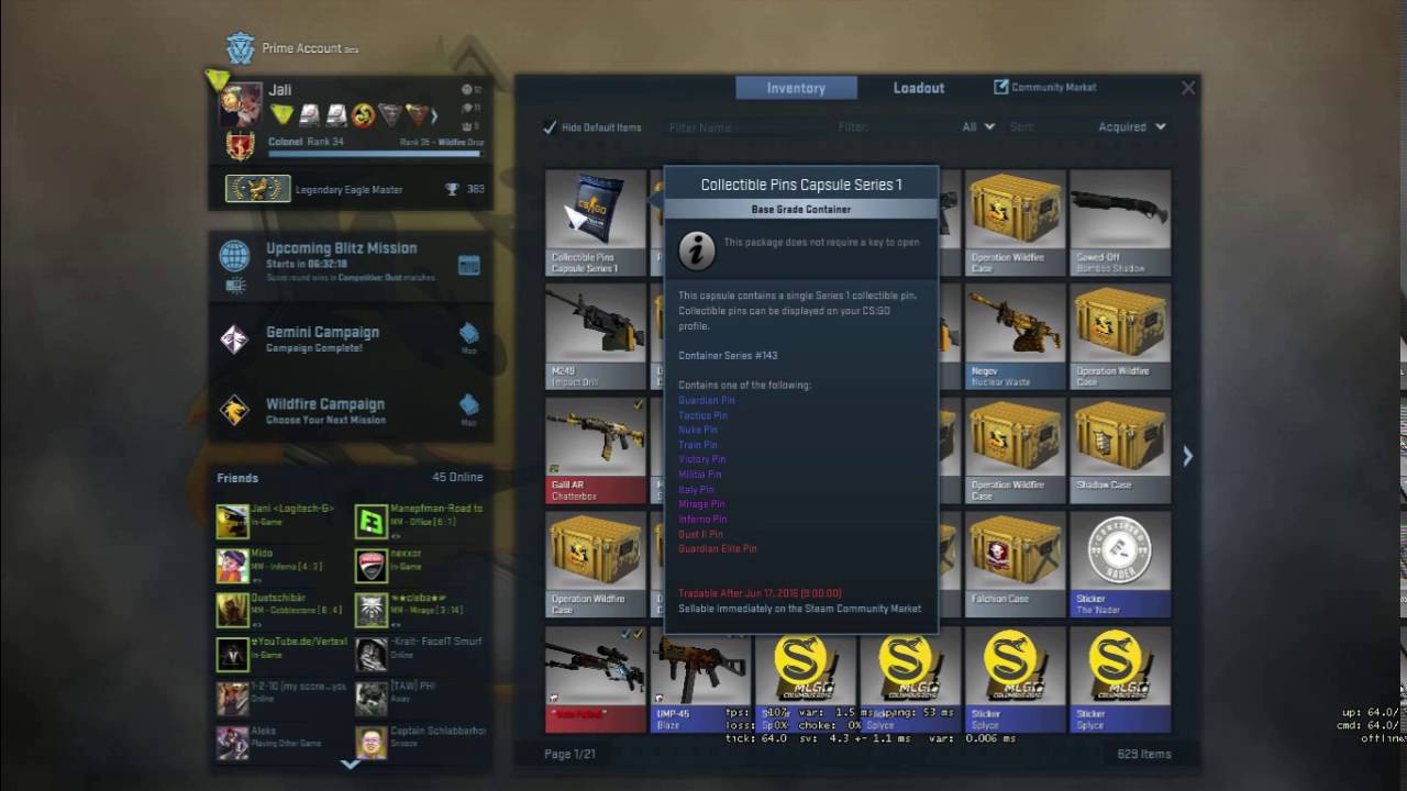 CSGO Collectible Pins Series 1 Capsule Opening 2 YouTube