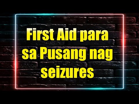 Video: Mayroon Bang Mga Luya Na Pusa?