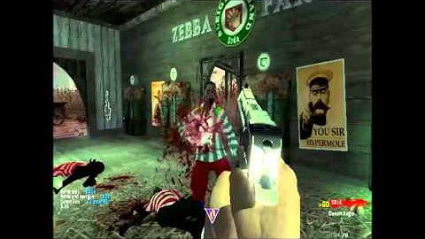 Custom Zombies On Zebba Farms Gun game Solo