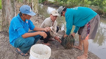 Đặt 12 Cửa Ngục Bắt Cá Về Kho Tiêu Ăn Với Giò Heo Hầm Măng Tre Gai.Góc Làng Quê#287