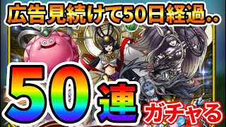 【ドラクエタクト】異世界情報局SPスカウト５０連ガチャる