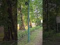 Zapowiedź pociągu KŚ, S71 SPRINTER do Katowic na stacji Mikołów
