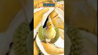 #short.Durian Magic Cutting #satisfying#fruit  #trending #viral