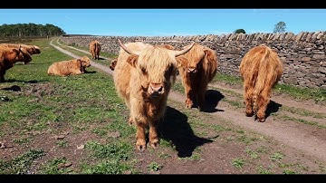 Peak District - Curbar/Baslow Edge