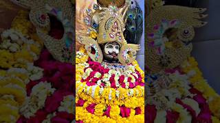 Download Lagu 🌹🌹 Dwarika Ke Prabhu Mera Beda paar Kar 🌹🌹#harekesaharekijai #shyamjibhakti #trending #khatubhajans MP3 Download Lagu 🌹🌹 Dwarika Ke Prabhu Mera Beda paar Kar 🌹🌹#harekesaharekijai #shyamjibhakti #trending #khatubhajans MP3