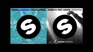 DVBBS & Tony Junior vs R3HAB (Tiesto Remix) - Immortal Samurai (DjCricKeeT's Mashup)