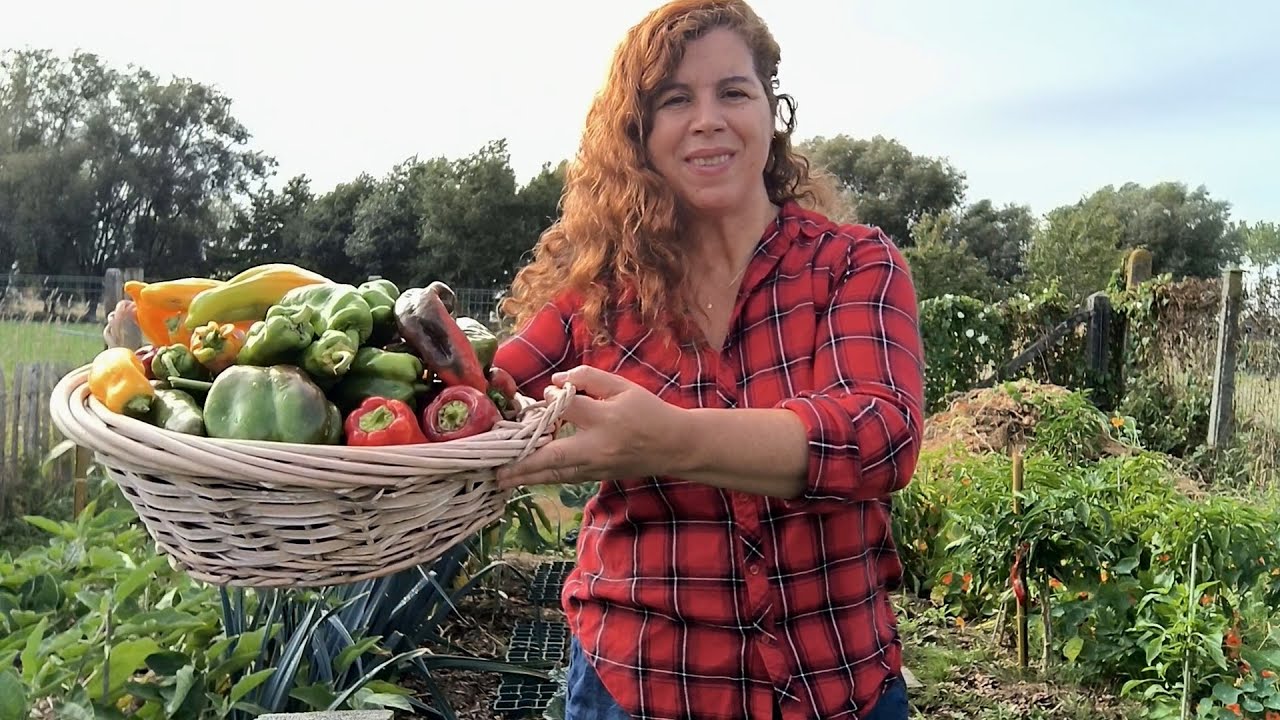 Menudas buenas verduras tengo con la permacultura. Me ha funcionado y muy bien.