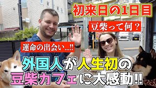 日本に来て1日目！人生初の豆柴カフェに行ってみたら感動が止まらない！！【運命の出会い...】