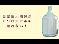 【自家製天然酵母】え？そうなの？酵母エキスを仕込むビンは大は小を兼ねない！　フルーツ酵母　自家製天然酵母　パン教室　教室開業　大阪　奈良　東京　福岡　名古屋