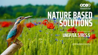 UNEA Resolution 5/5 Nature-based Solutions : Capacity Building for Youth