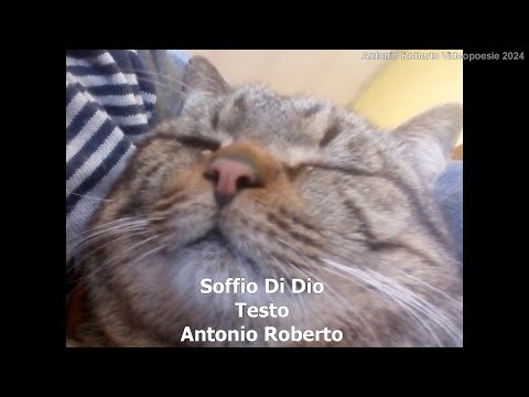 Soffio Di Dio - Antonio Roberto - VINCITRICE POESIE A QUATTRO ZAMPE VIDEOPOESIE 2024@AShamaluevMusic