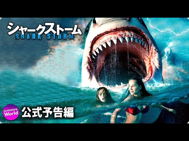 みそきんブームの波に乗るサメ hq720.jpg?sqp=-