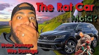 THE RAT CAR... QUICK FLIP??? ALL IN ONE VIDEO???